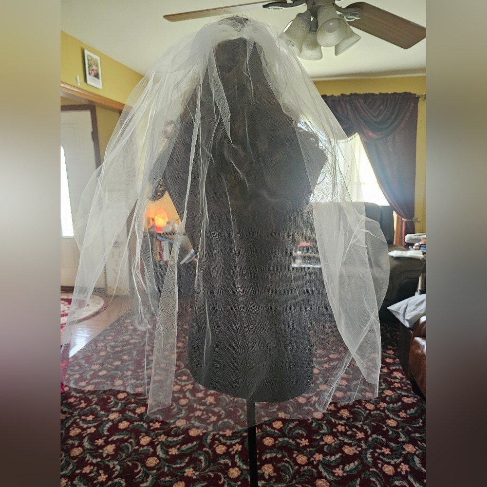 NWT Simple White Veil